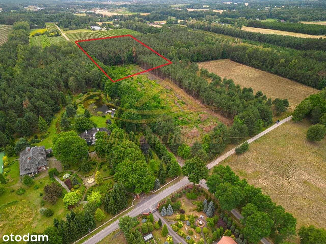 Działka rolno leśna winnica Dwórzno !-1