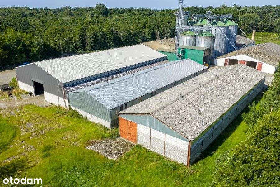 Lokal użytkowy, 26 472 m², Baszewice - Pełny obrazek: 5/15
