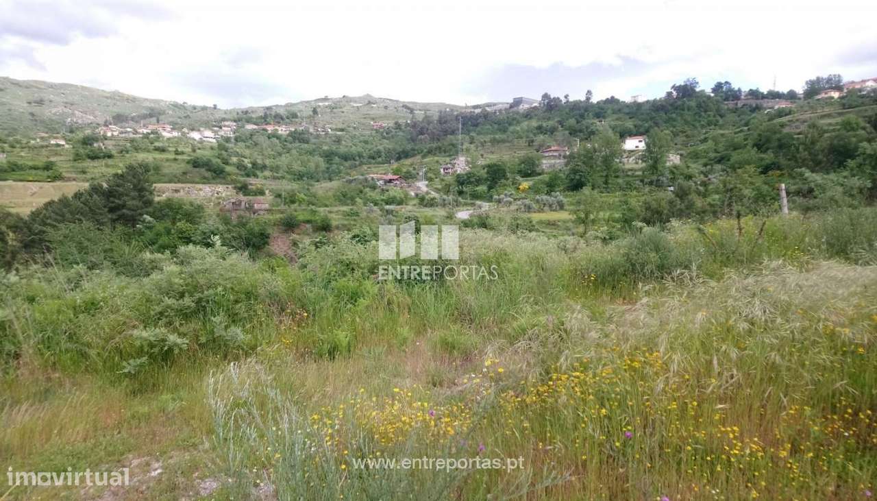 Venda Terreno, Soalhães, Marco de Canaveses - Grande imagem: 5/7