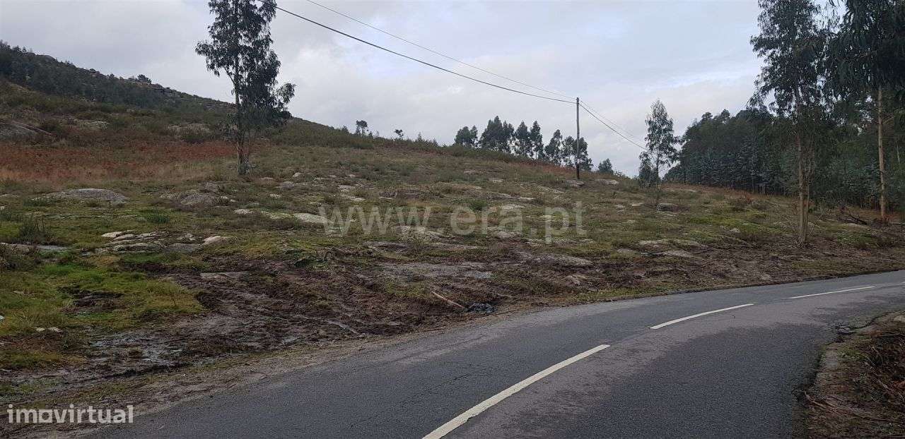 Terreno rústico em Quinchães - Grande imagem: 3/3