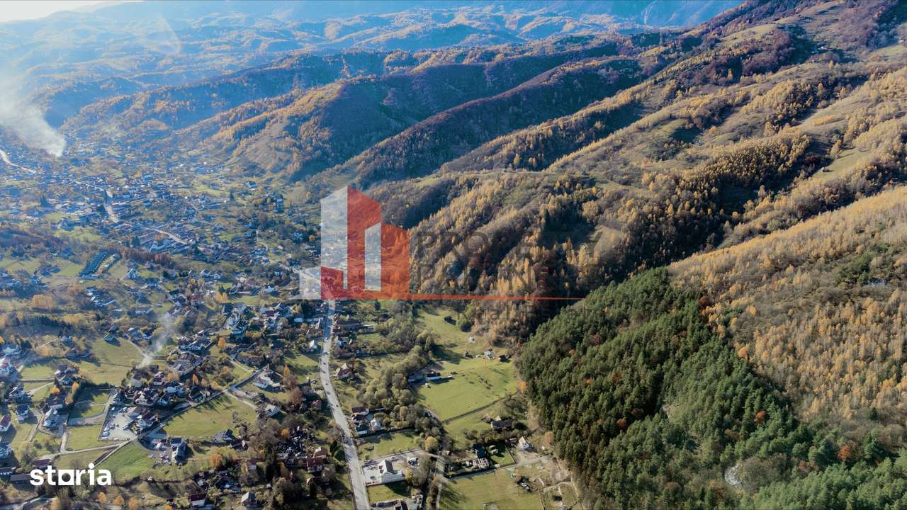 Teren Moieciu 8206 mp - Oportunitate de investitie-8