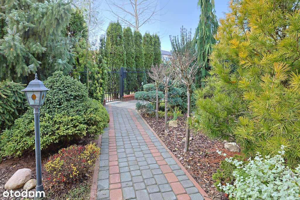 Stylowy!! Pół bliźniaka/Węglinek/Premium-18