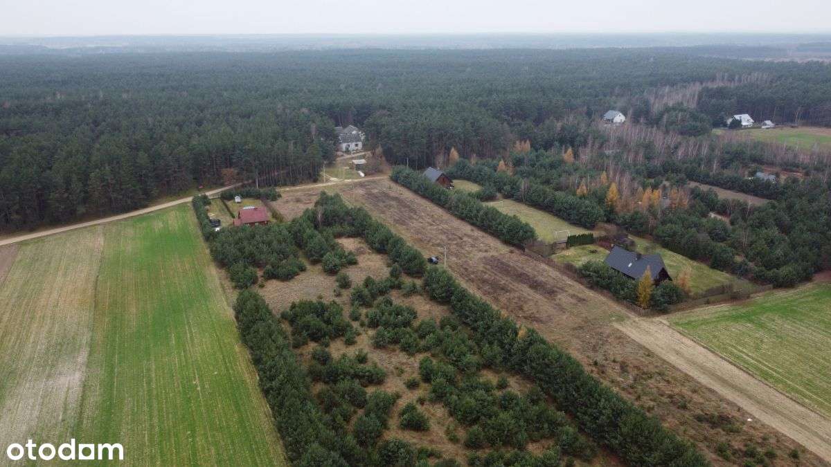 Działka budowlana z lasem-5