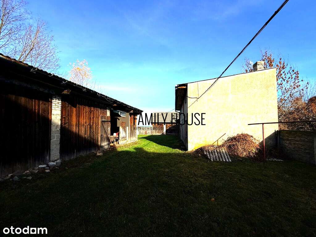 Dom 65m²/ działka 9354m² Węglów/Wąchock - Pełny obrazek: 5/19