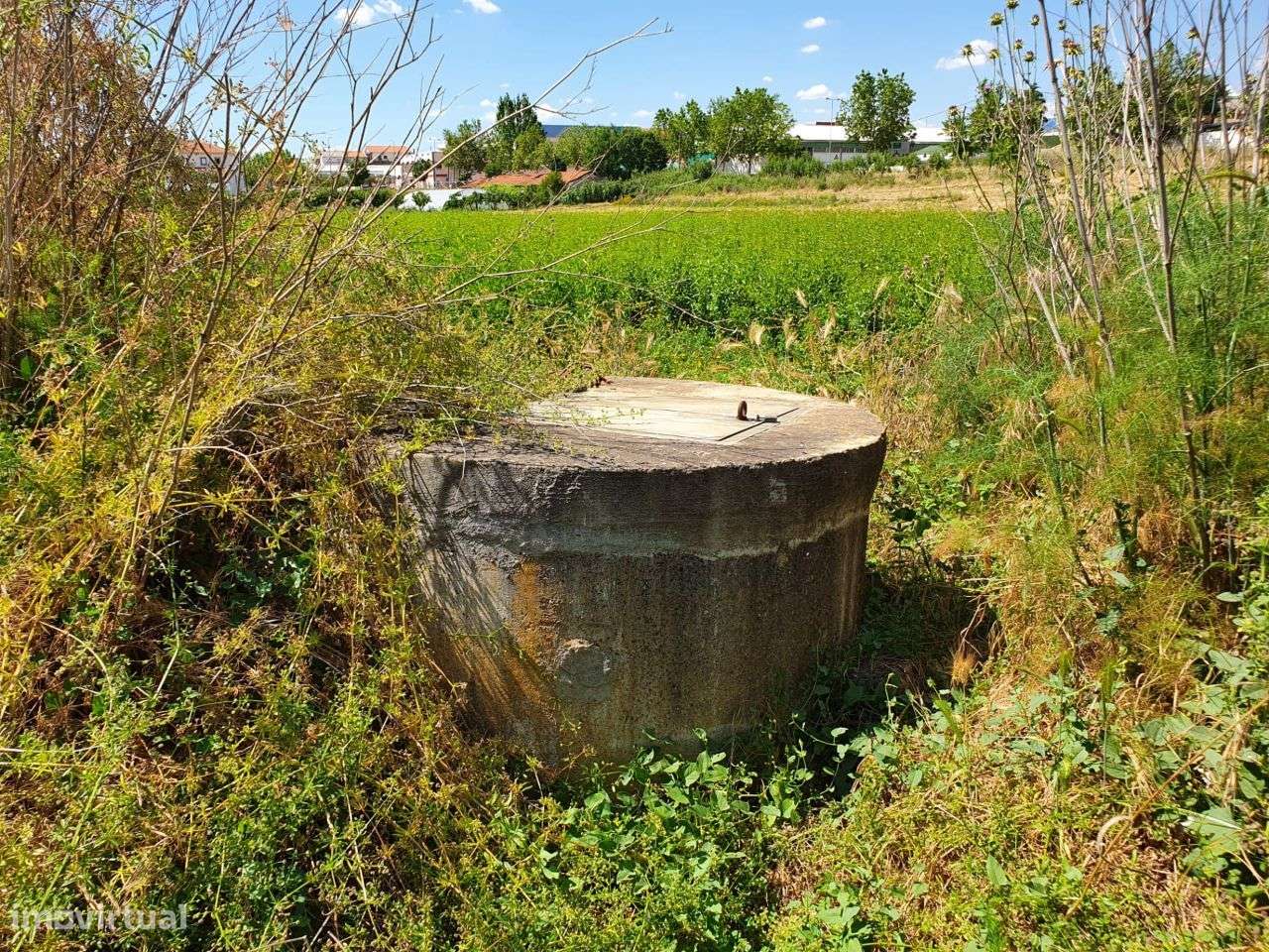 Vende terreno 1,5 hect Mirandela - Grande imagem: 2/22