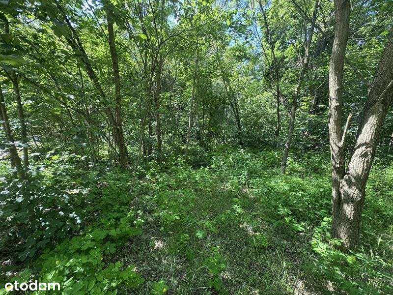 Działka, 956 m², Poznań-5