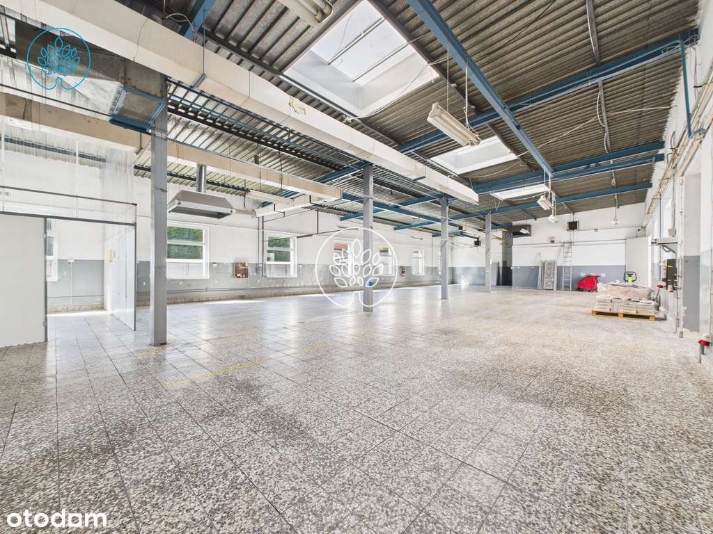 Hala na Bartodziejach 900m2, działka 2409m2 - Pełny obrazek: 4/13