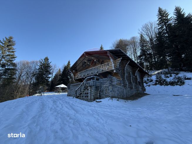 Cabană de vis în inima munților, chiar lângă pârtia de schi din Borșa-1