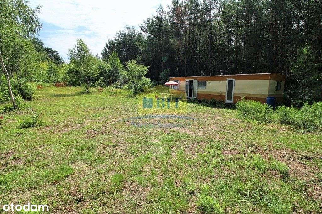 Działka rekreacyjna pod lasem, Nowe Laski - Pełny obrazek: 5/20