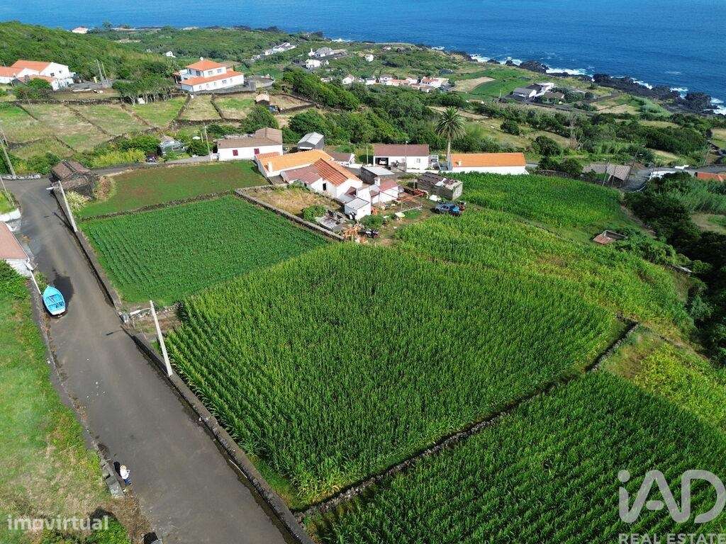 Terreno Agrícola em Ribeiras - Grande imagem: 5/19