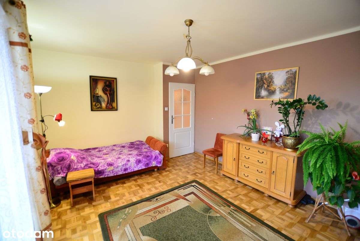 Dom z Potencjałem | pod Działalność/ 3 mieszkania-5