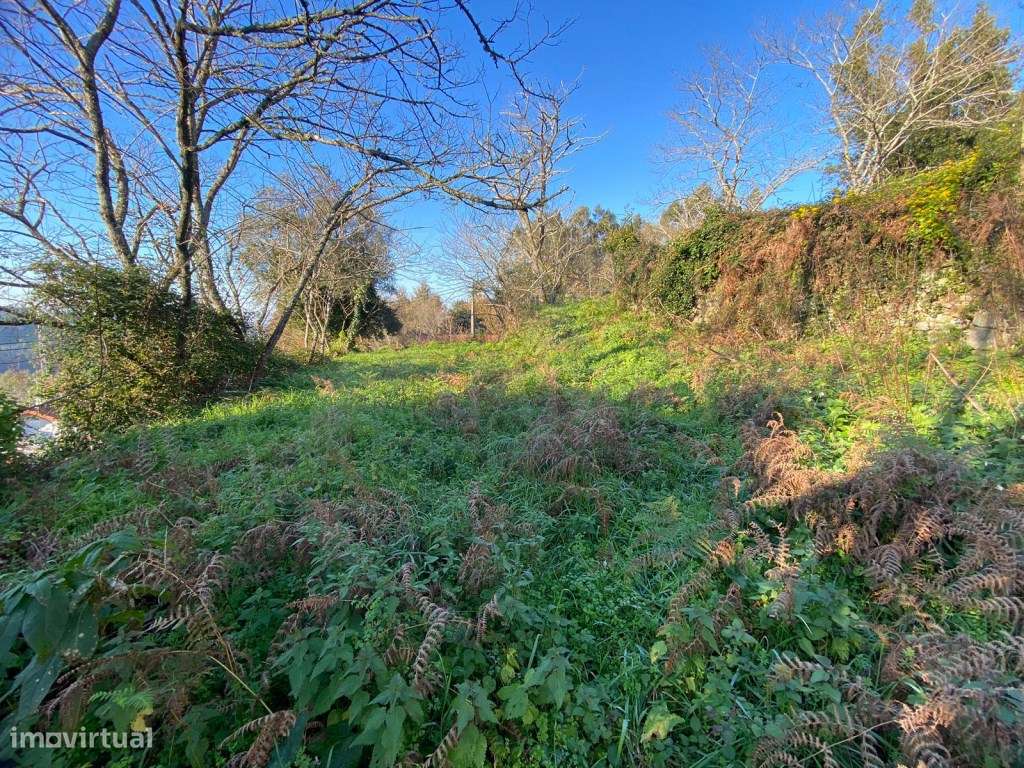 Propriedade composta por duas casas para restauro. - Grande imagem: 4/17