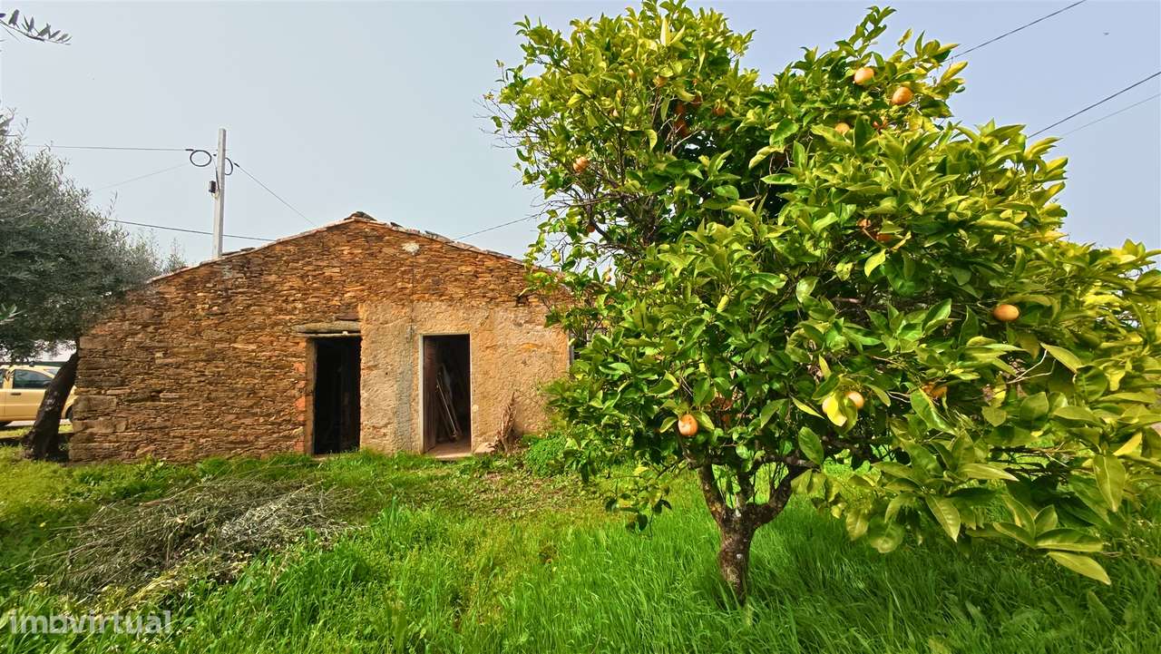 Moradia T2 Venda em Sarzedas,Castelo Branco - Grande imagem: 3/25