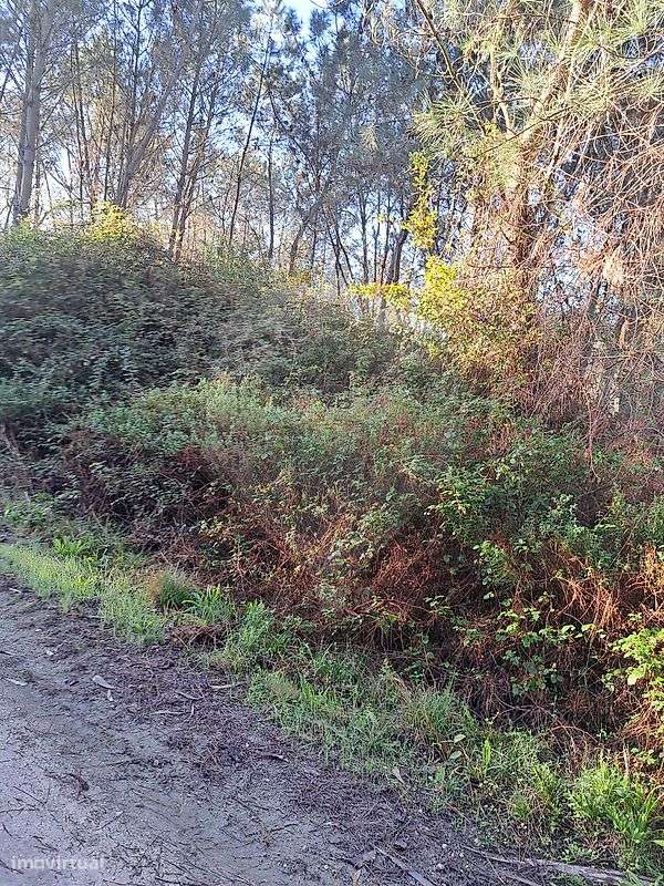 Terreno  para venda - Grande imagem: 2/3