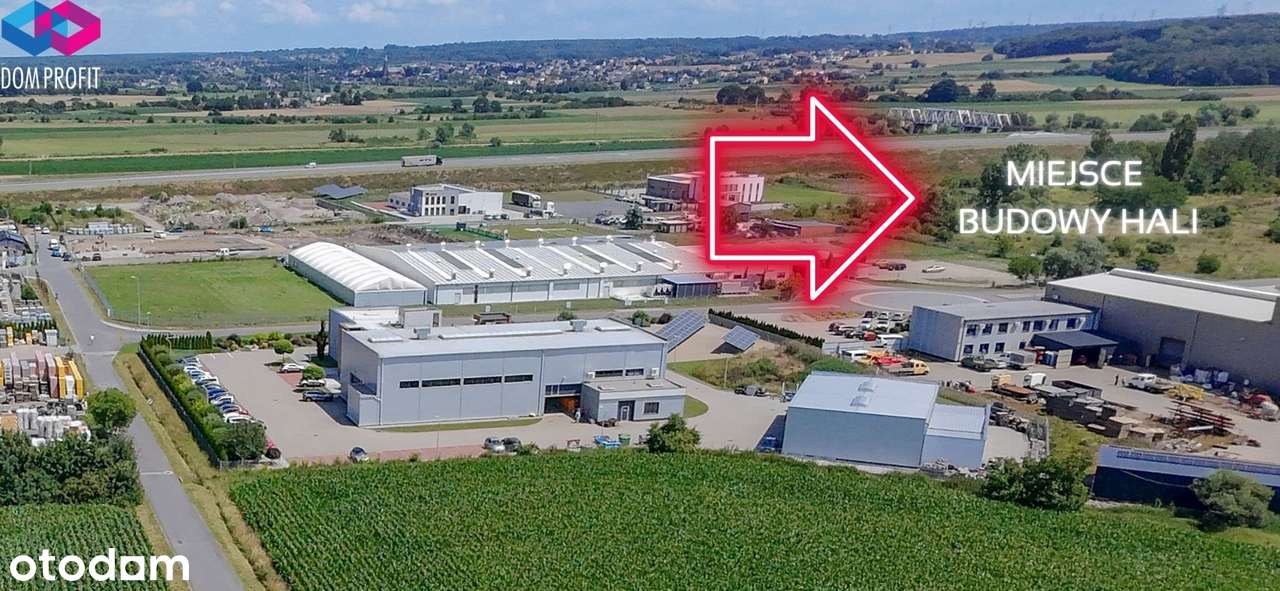 Hala uszyta na miarę - Pełny obrazek: 2/6