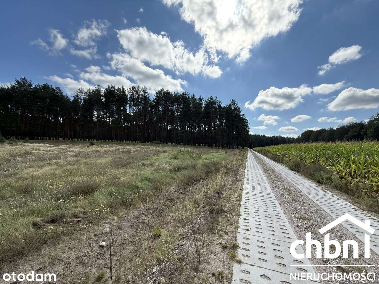 Okazja! Duża działka 3178 m² – Kaszuby - Pełny obrazek: 5/16