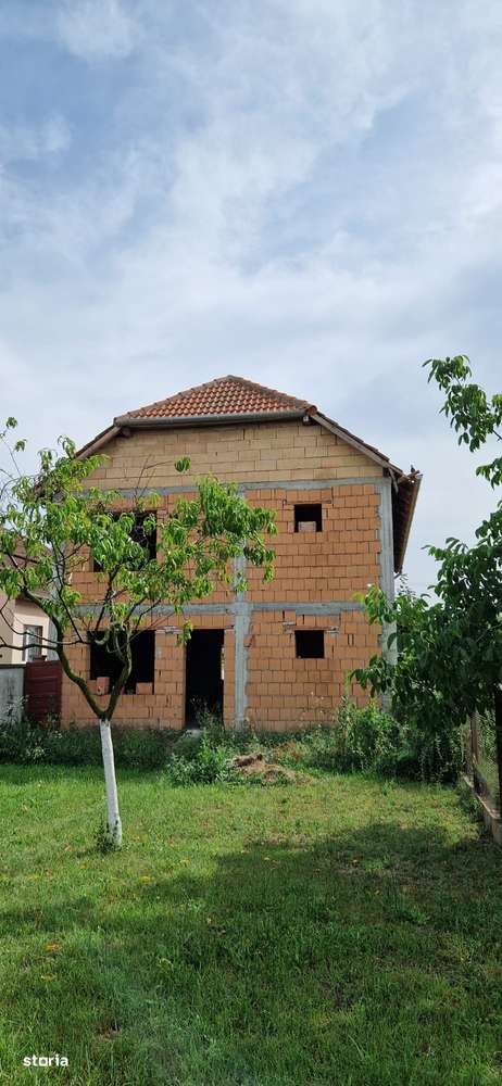 Casa Sannicolau Mic-8