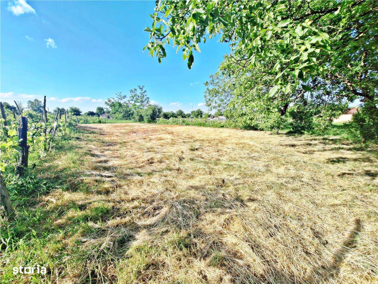 Teren intravilan 2787 MP + casa batraneasca | Galbeni, Filipesti - Imagine principală: 4/12