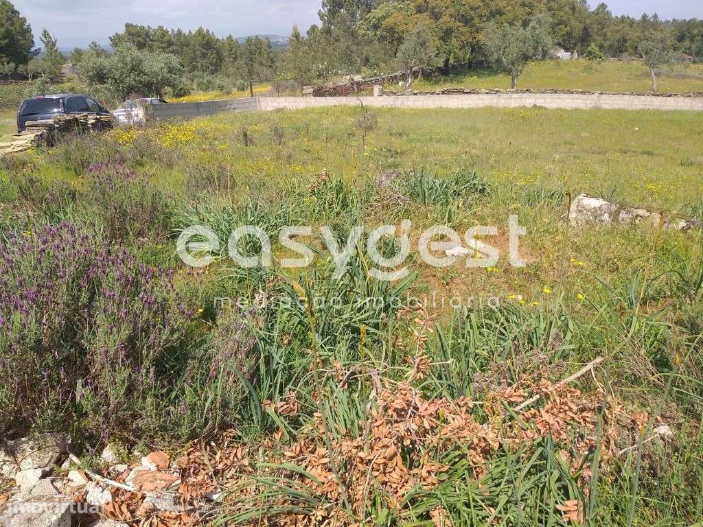 Fantástico Terreno Urbano em Benquerenças Castelo Branco - Grande imagem: 4/46