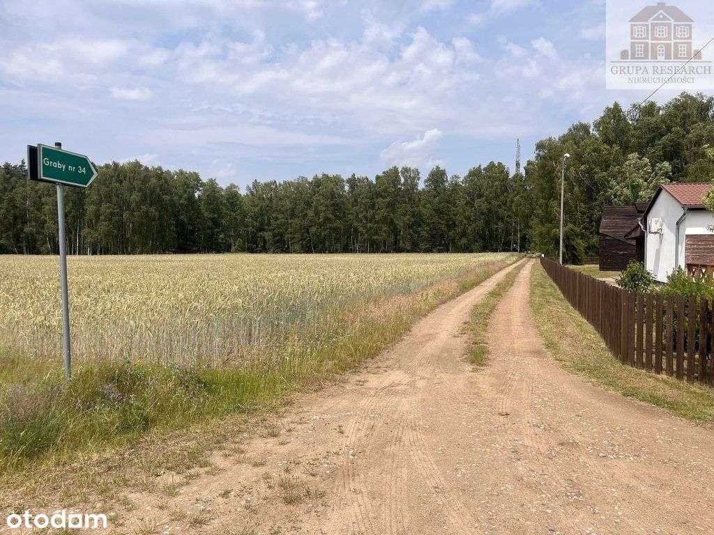 Cisza, las i przestrzeń – działka w Grabach - Pełny obrazek: 5/14