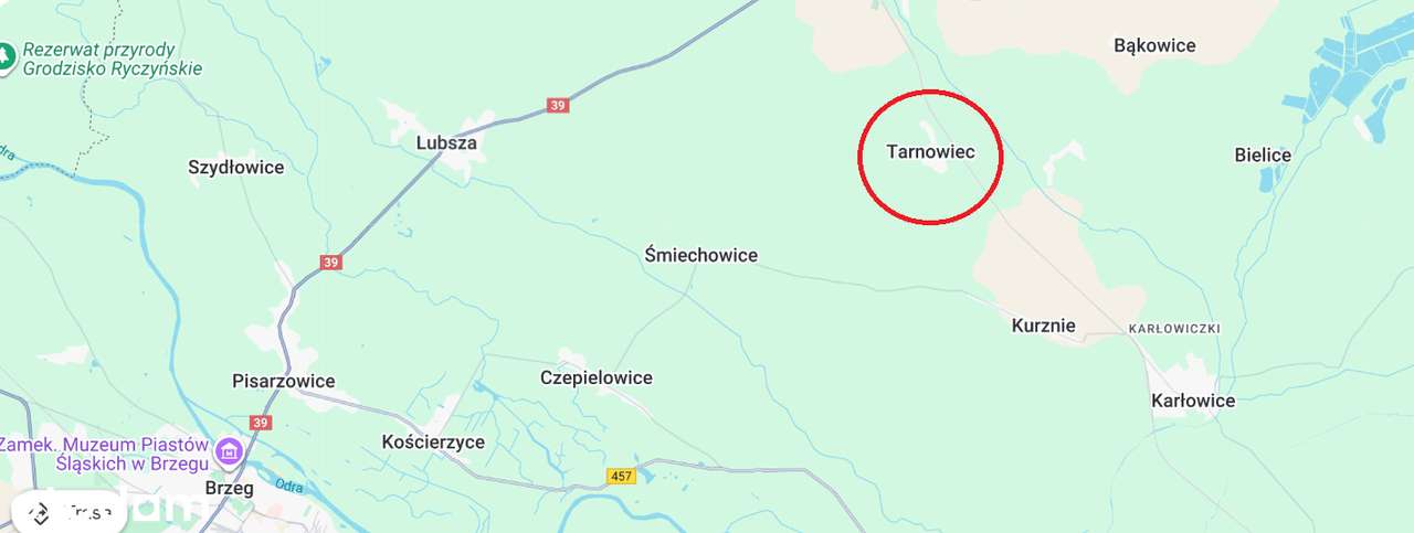 Działka ze stawem, urokliwe miejsce! - Pełny obrazek: 4/6