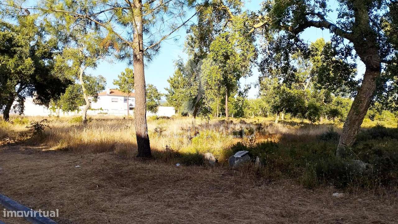 11 Lotes de Terrenos para futura Urbanização em Azeitão ou Quinta - Grande imagem: 3/7