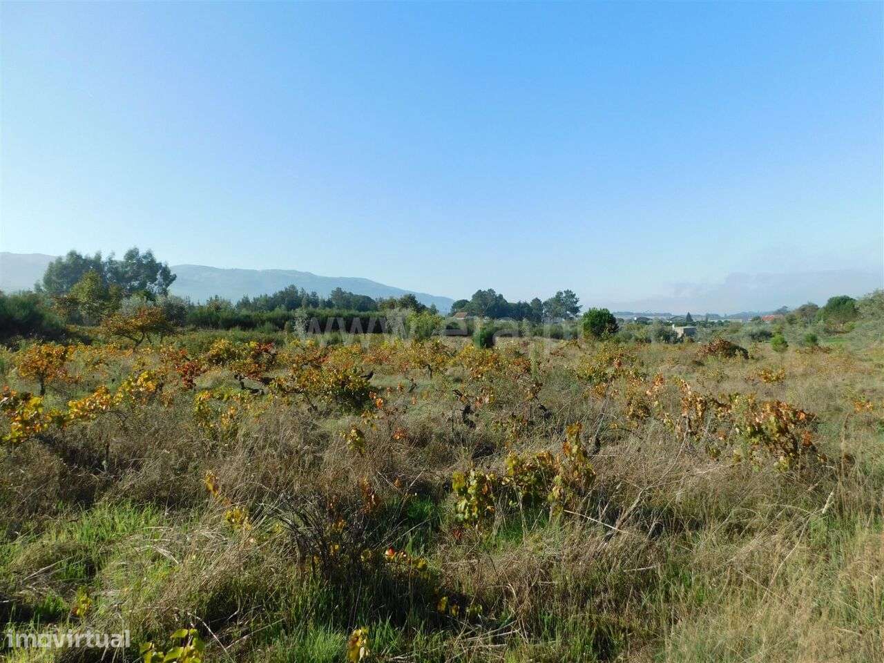 Terreno / Seia, Santa Marinha e São Martinho - Grande imagem: 5/15