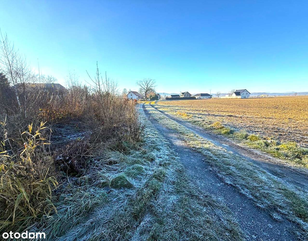 Działka budowlana o pow. 1431 m2/Włóki! - Pełny obrazek: 3/3