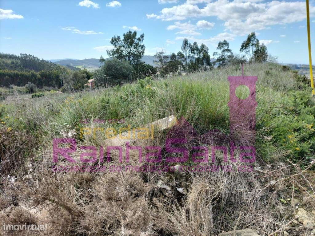 Terreno -Empreendimento Turístico - Praia de Santa Cruz - Grande imagem: 4/5