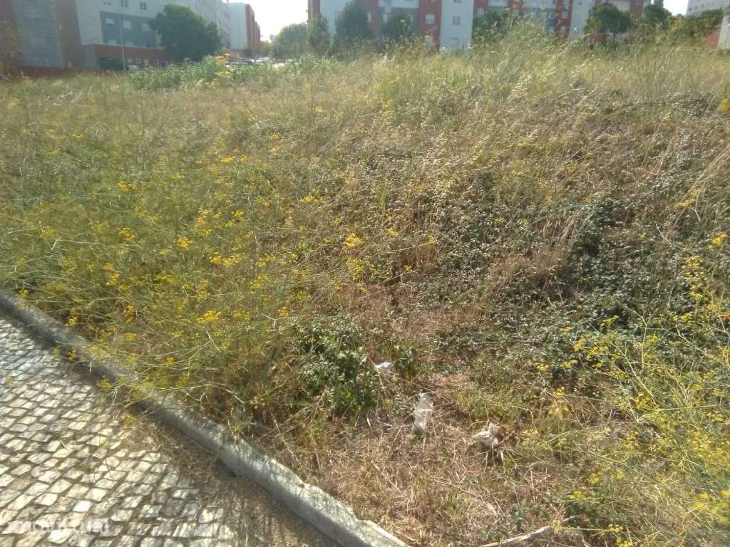 Lote Terreno Urbano em Samora Correia - Grande imagem: 3/3