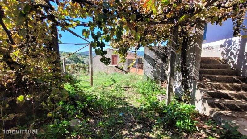 Quinta / Fundão, Enxames - Grande imagem: 3/20