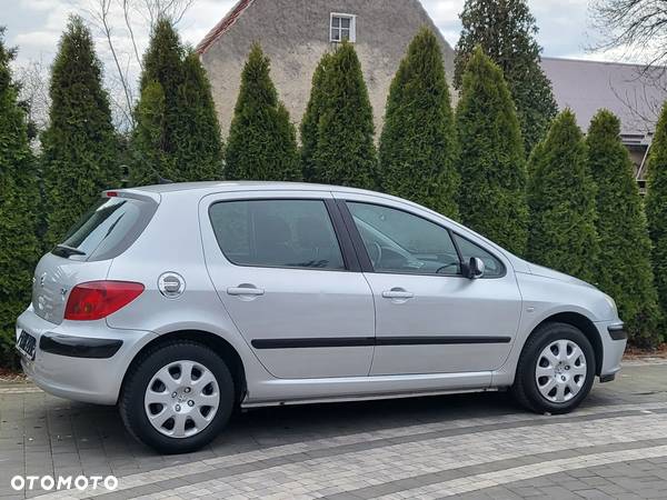 Peugeot 307 1.6 Premium - 16