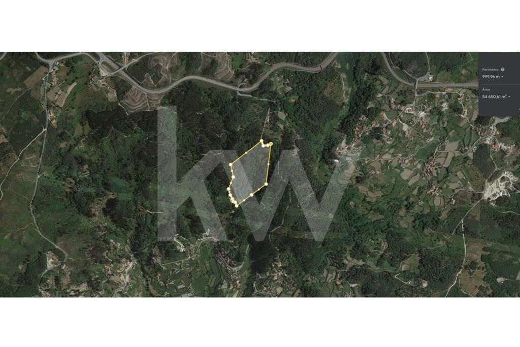 TERRENO DE 5,4 HECTARES LOCALIZADO EM GOSENDE - BAIÃO - Grande imagem: 2/8