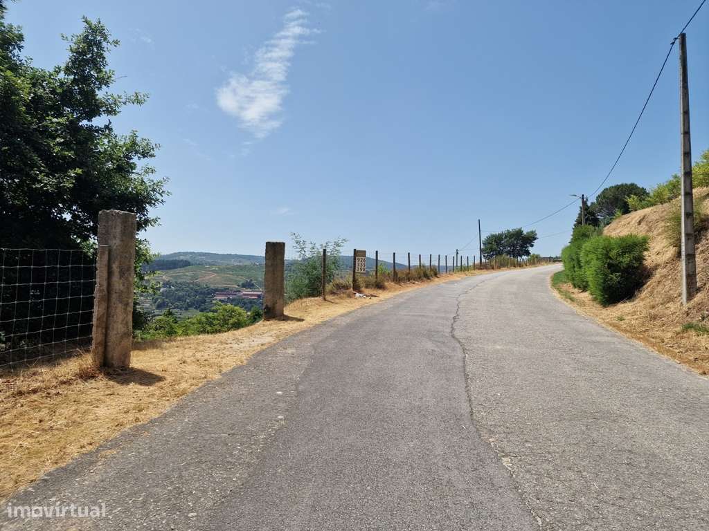 Terreno | Serra das Meadas | Lamego - Grande imagem: 5/6