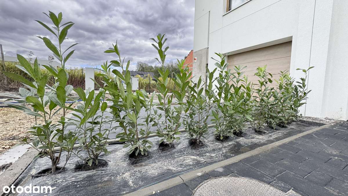 Nowy dom 138m2, 6 pokoi, garaż, ogródek 58m2 - Pełny obrazek: 2/12