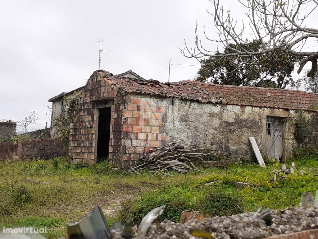 Moradia em ruína com projecto aprovado em Chafé