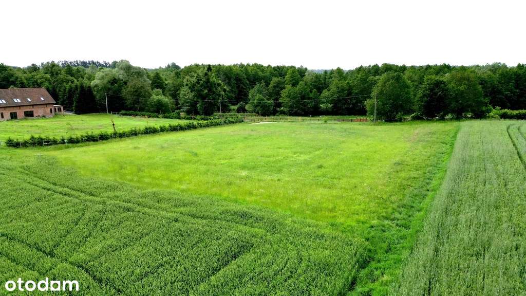 Na sprzedaż działki z widokiem na Kanał Iławski - Pełny obrazek: 2/16