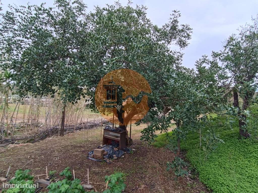 TERRENO COM 35.120 M2 - POÇO - ÁGUA - COM POSSIBILIDADE DE CONSTRUI... - Grande imagem: 4/43