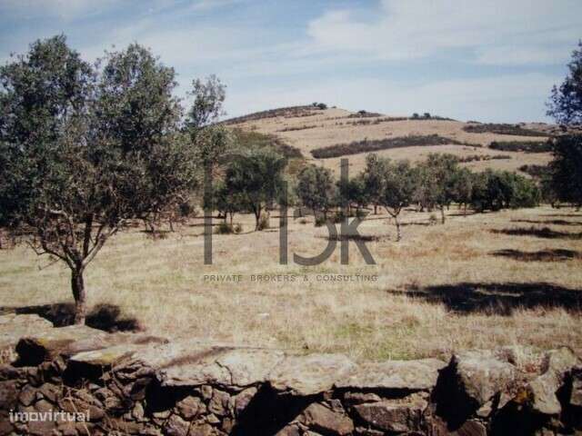 Herdade Montinho do Pascoal-27