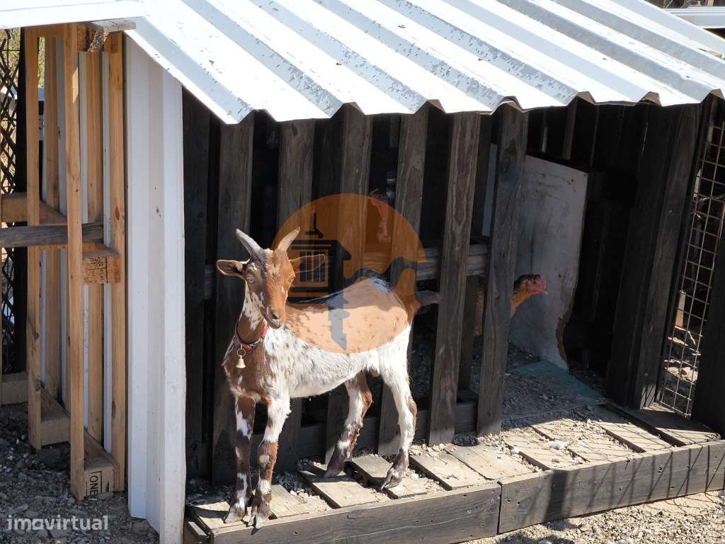 TERRENO COM 15.880 M2 - COM ÁGUA - COM APOIO AGRÍCOLA - ALTURA - CA... - Grande imagem: 5/41