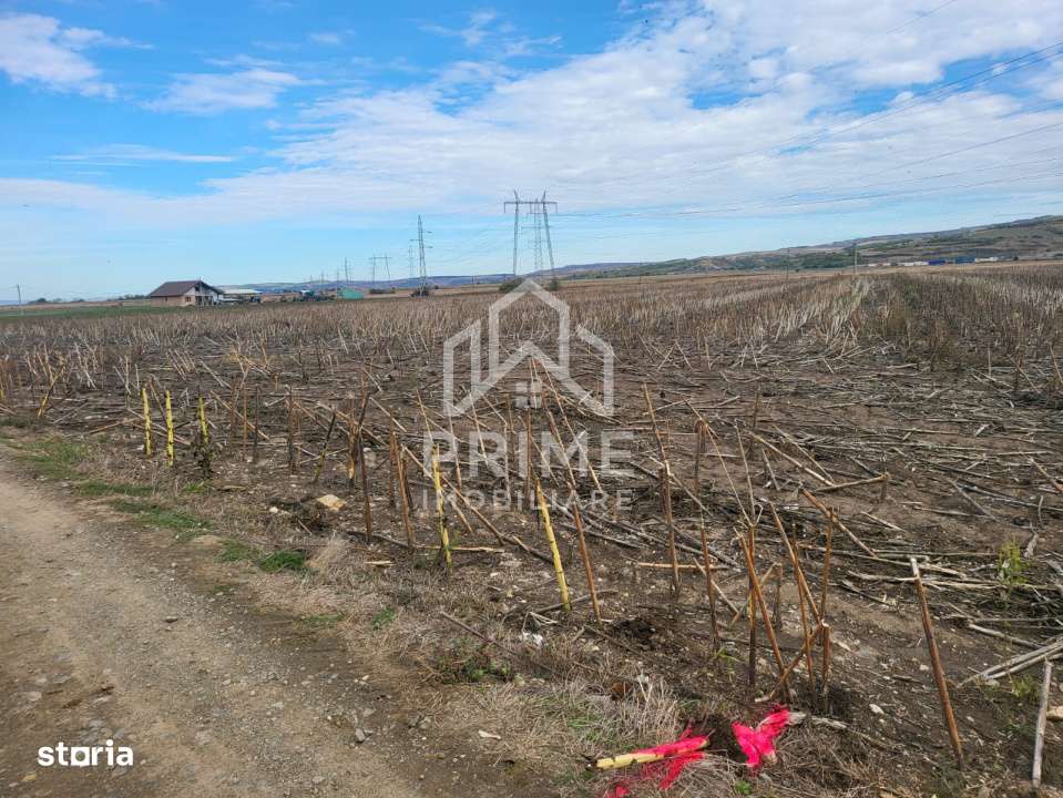 Teren de vanzare in Oarda de Jos , 8300  mp din care 2700 mp intravila - Imagine principală: 3/4