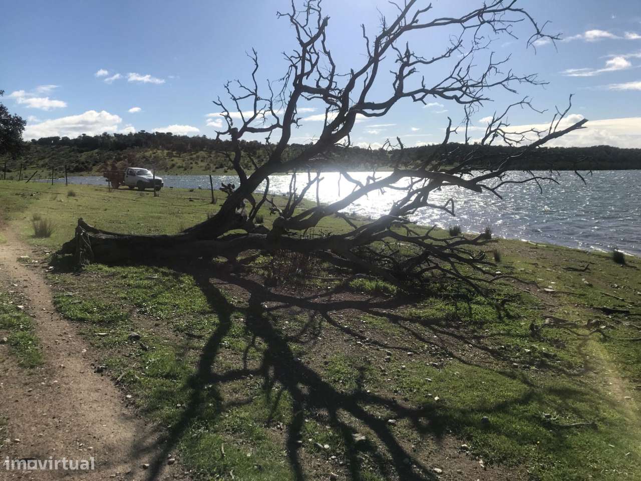 Herdade Mourão 80,44 ha banhada pelas águas do Alqueva-24