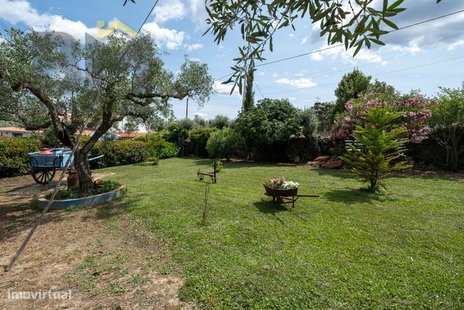 Moradia Isolada T3 Venda em Benquerenças,Castelo Branco-30