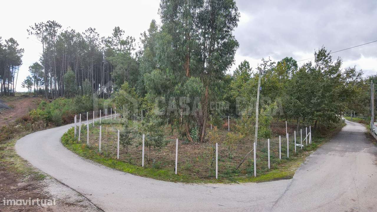 Terreno P/Construção no Campo - Grande imagem: 2/8