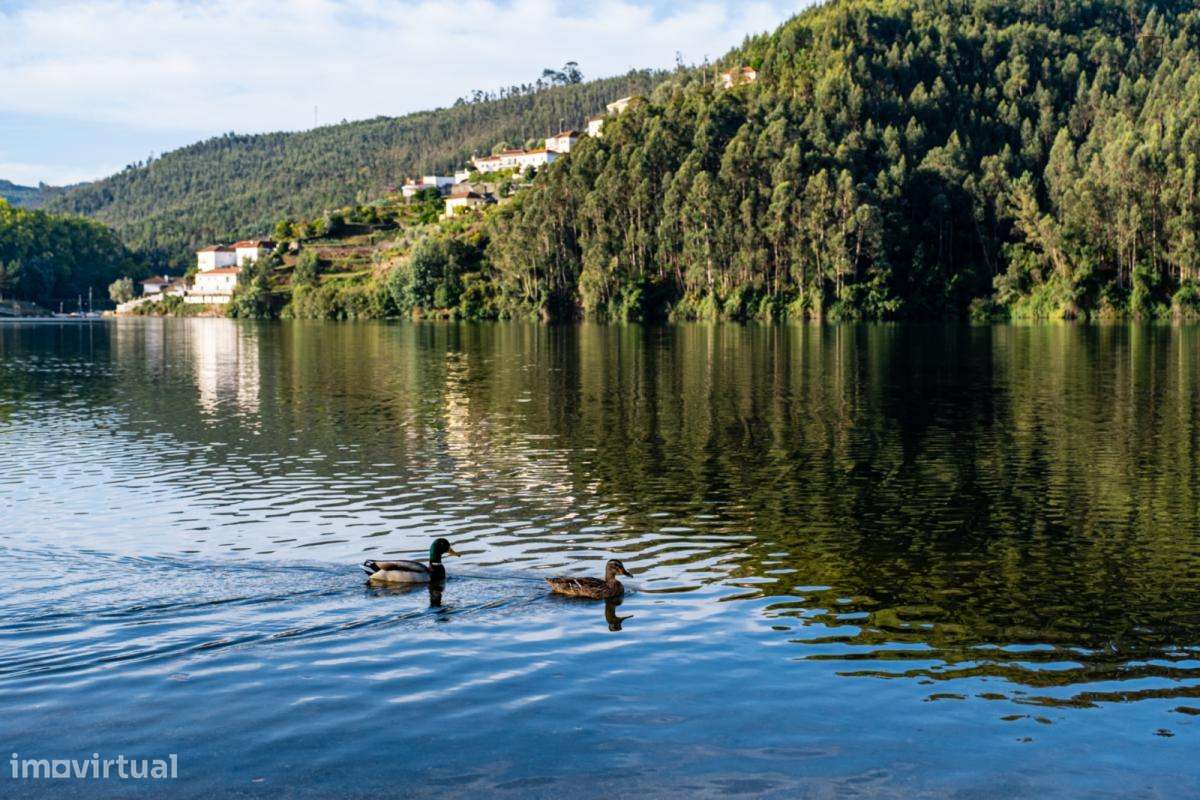 Apartamento com 2 quartos - localizado em Penafiel Porto - Grande imagem: 3/5