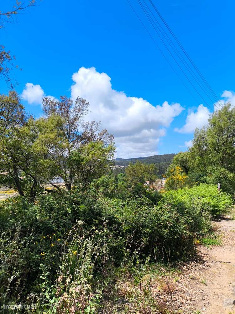 Terreno  Venda em Abade de Neiva,Barcelos-16