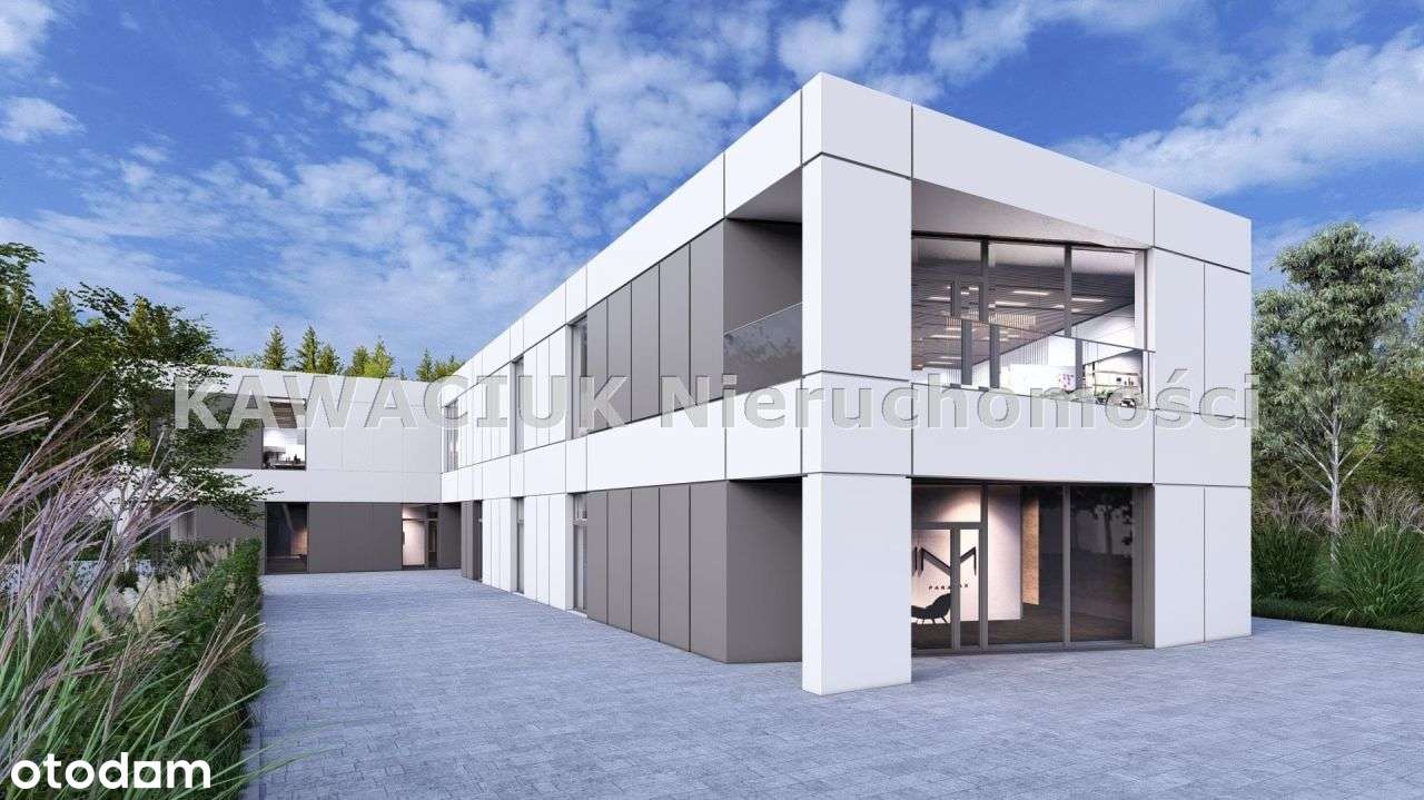 Do wynajęcia | 5 lokali | Centrum dla kobiet - Pełny obrazek: 4/20