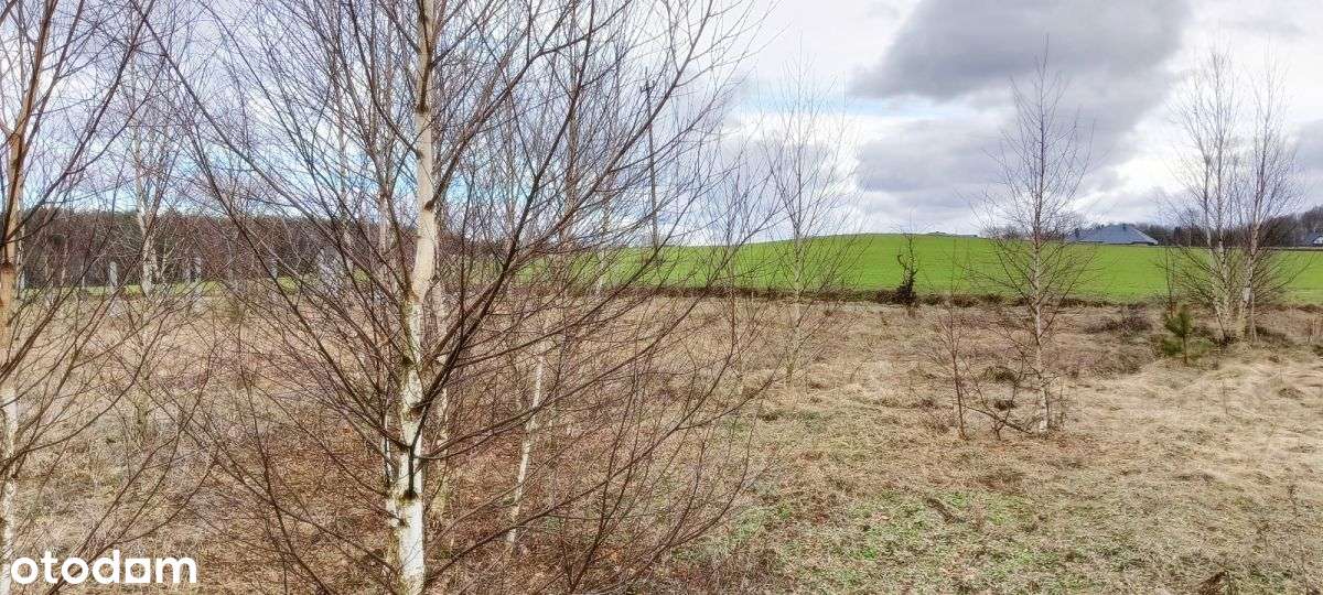 Działka budowlana, 400 m od Jeziora Strzepcz - Pełny obrazek: 4/10