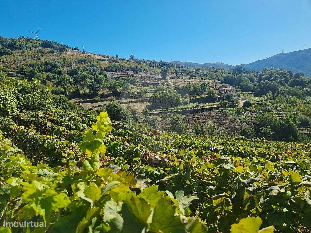 Quinta  para venda-29