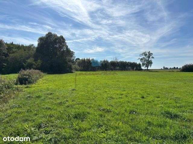 Grunt pod inwestycje Owieczki gm. Łubowo-12